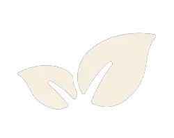SANS PHTALATES