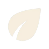 Écoresponsable